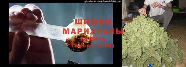 спиды Новодвинск