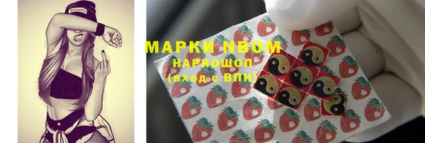 спиды Новодвинск