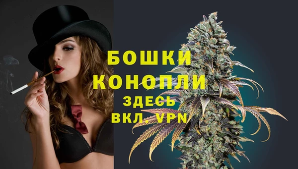 ГАЛЛЮЦИНОГЕННЫЕ ГРИБЫ Новокубанск