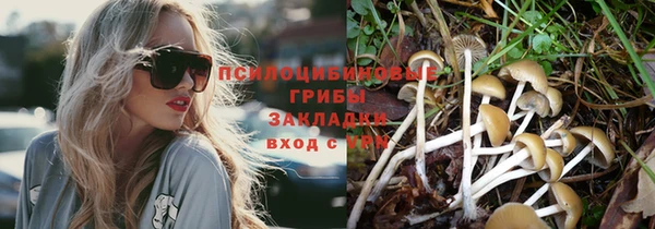 мескалин Няндома