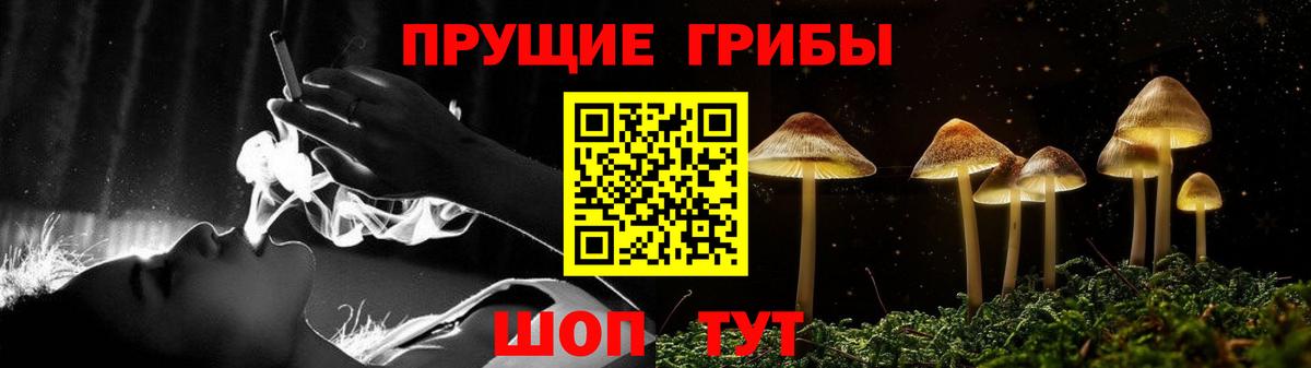 Галлюциногенные грибы Cubensis  Вход с VPN  Липецк 